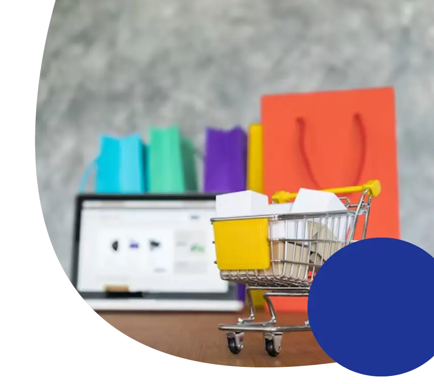 Ecommerce Website Development